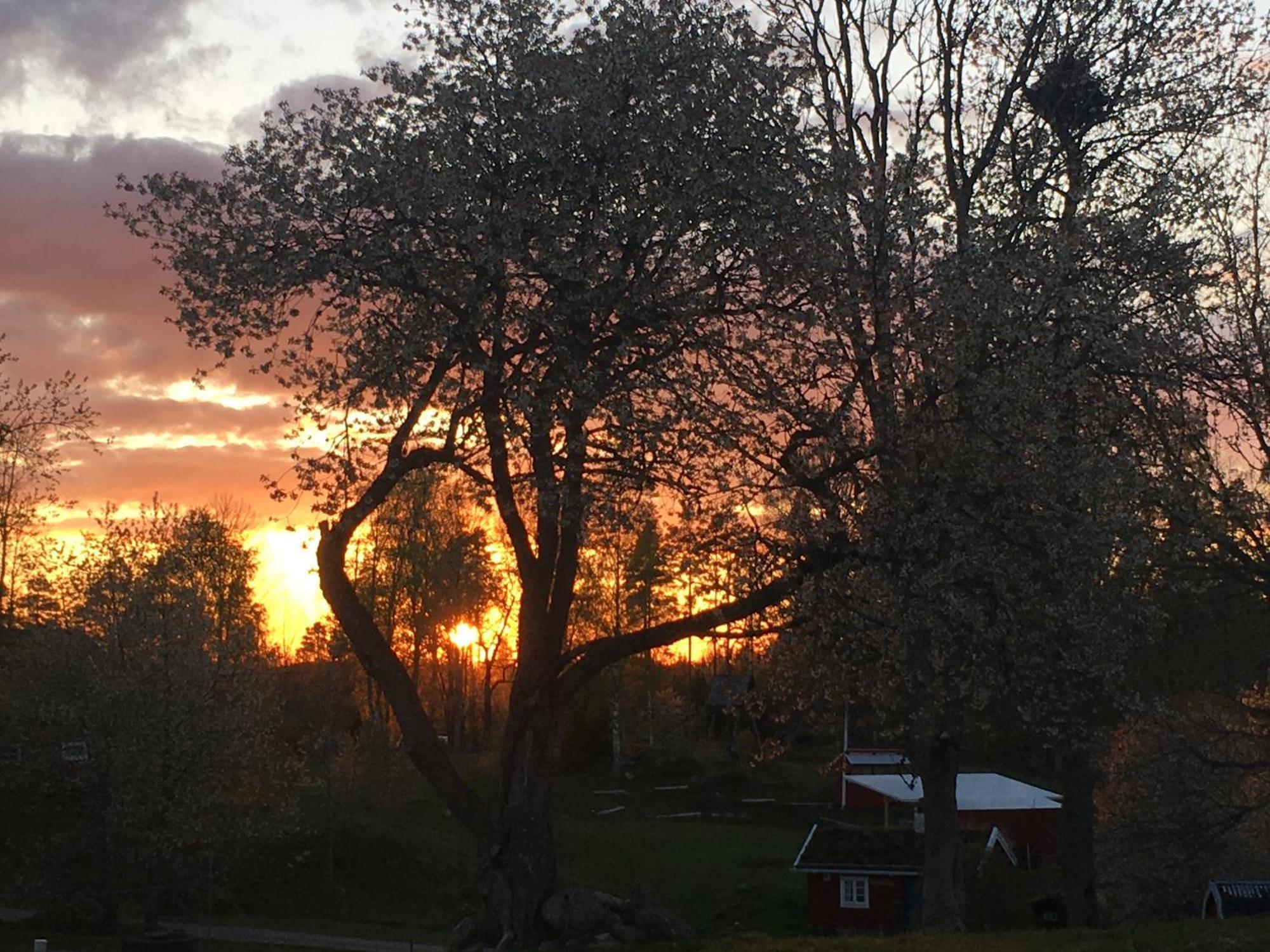 Stf Tivedstorp Hostel Buitenkant foto